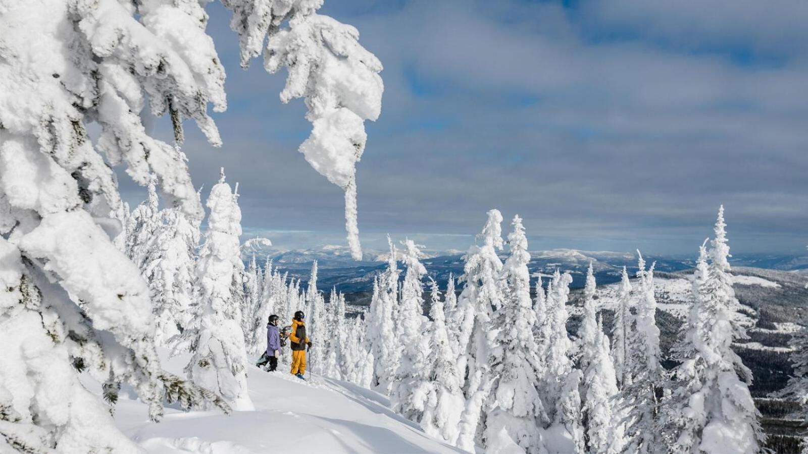Soleil Chalet By Bear Country Sun Peaks Bilik gambar